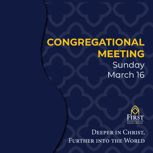 Congregational Meeting Sunday, March 16