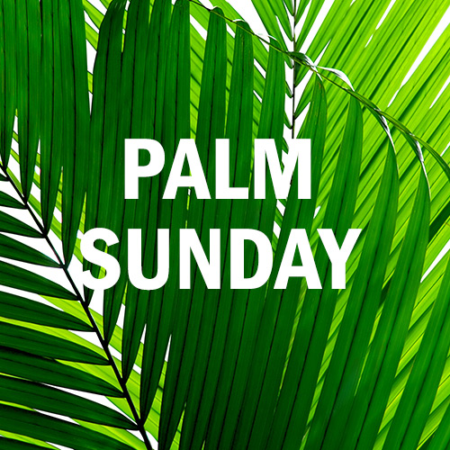 March 25, 2018 - Palm Sunday