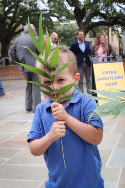 A young boy in a blue shirt holds a leafy branch, partially covering his face, with people and a sign reading 