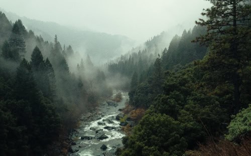 A river with rocks flows through a dense, green forest, the mist adding to the beauty and action of the hills and trees in the background.