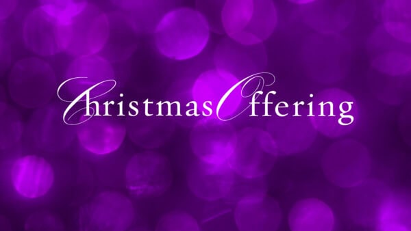 White text reading "Christmas Offering" on a purple background with festive circular light bokeh effects.