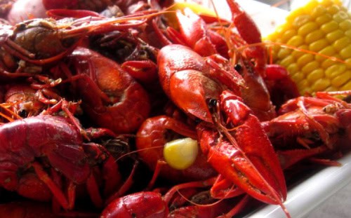 A plate of cooked crawfish with a piece of corn on the cob in the background.