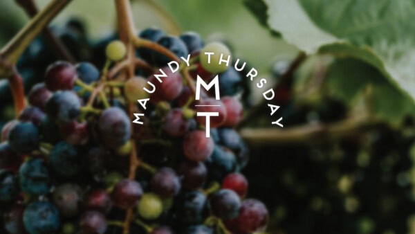 A close-up of grape clusters on vines with "Maundy Thursday" and "MT" overlayed, evoking a sense of worship and reflection.