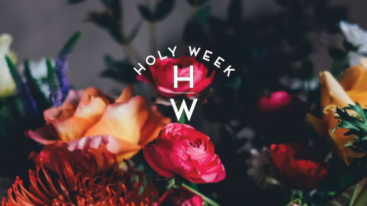 A variety of colorful flowers with the words 